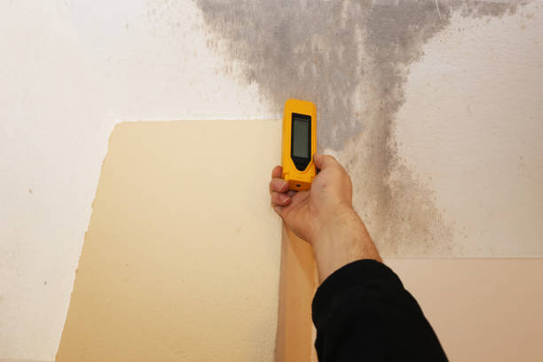 Best Dehumidification Services  in Potosi, TX