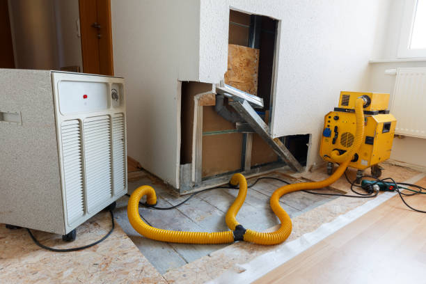 Best Mold Removal for HVAC Installations  in Potosi, TX